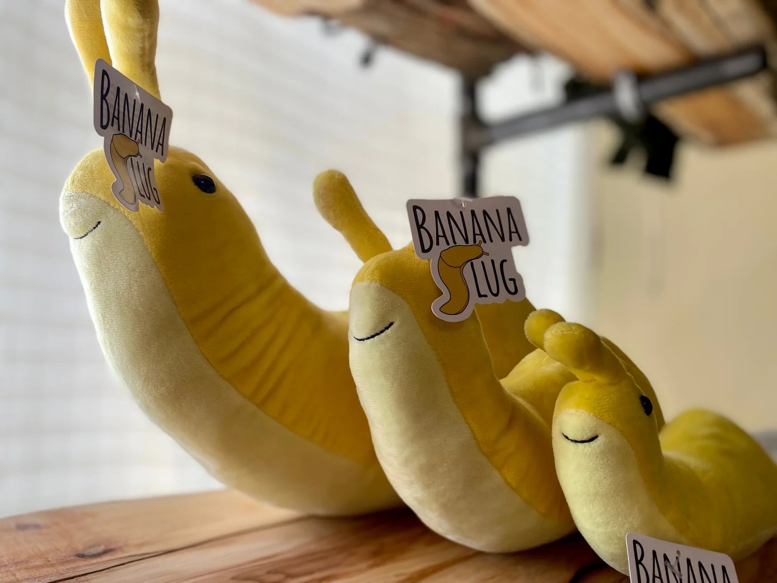 Banana slug hot sale stuffed animal