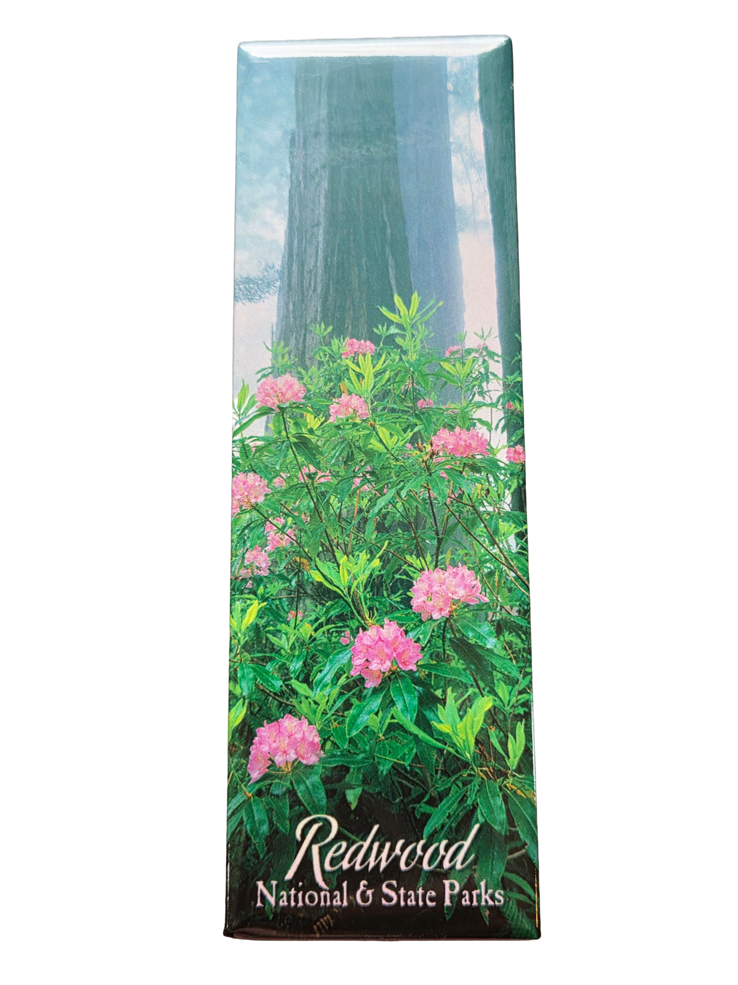 Rhododendron Redwood National and State Parks Magnet