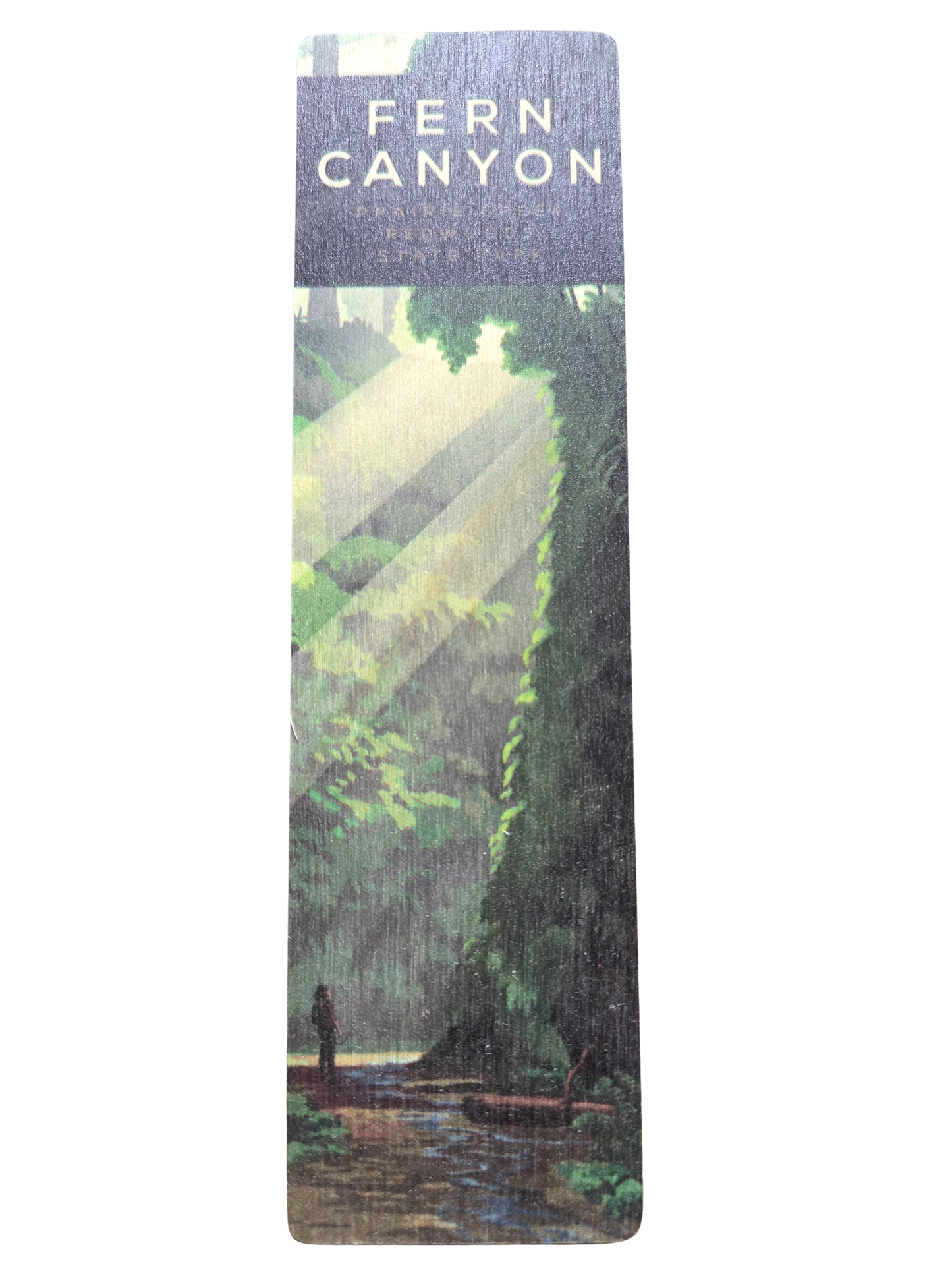 Fern Canyon- Prairie Creek Redwoods State Parks Wooden Bookmark