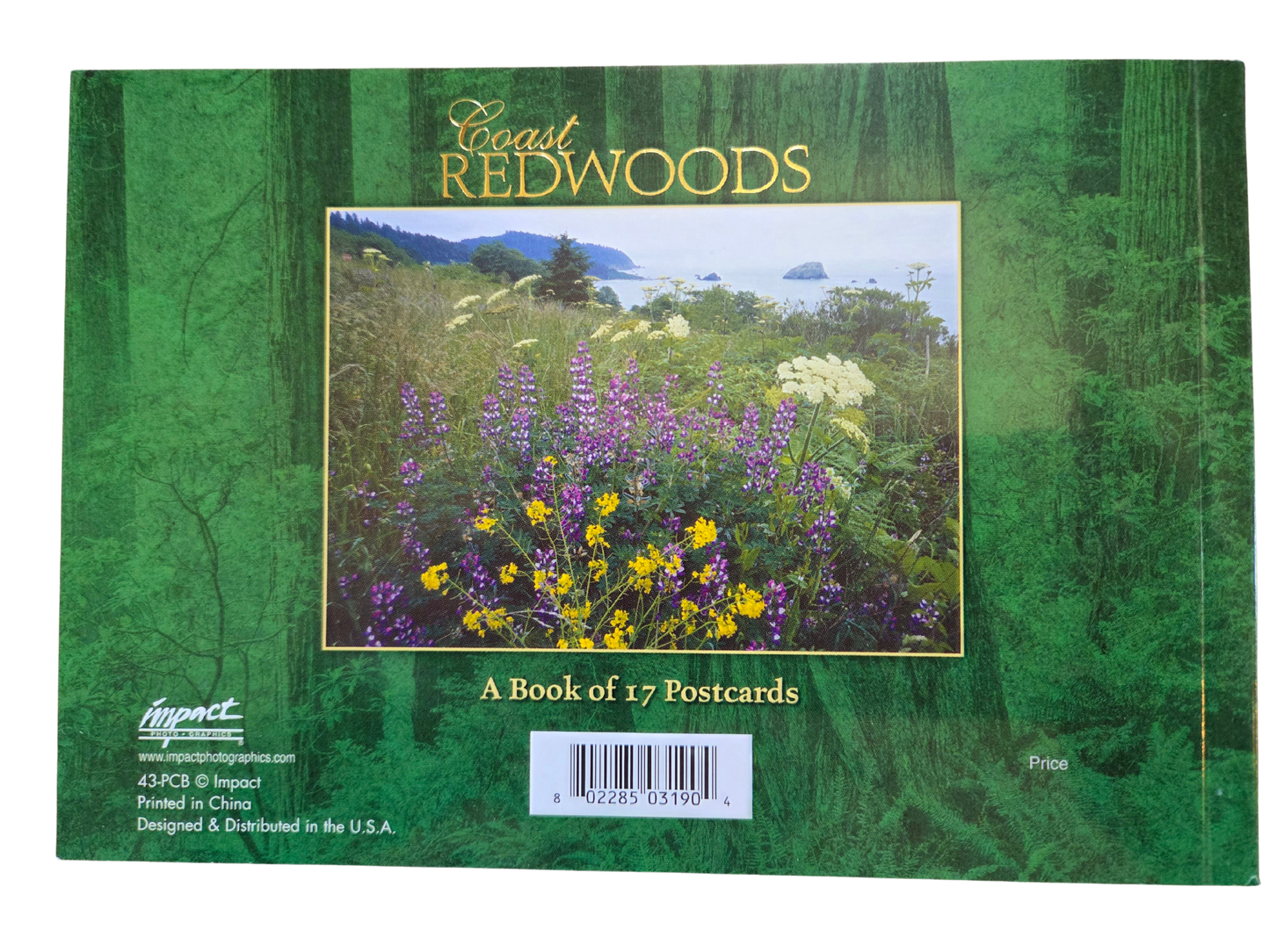 Coast Redwoods Book of Postcards