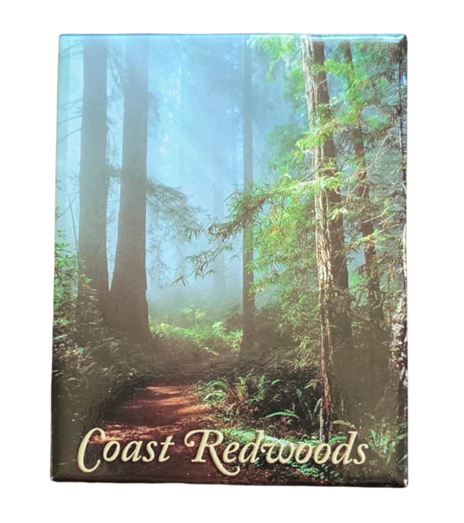 Coast Redwoods Magnet