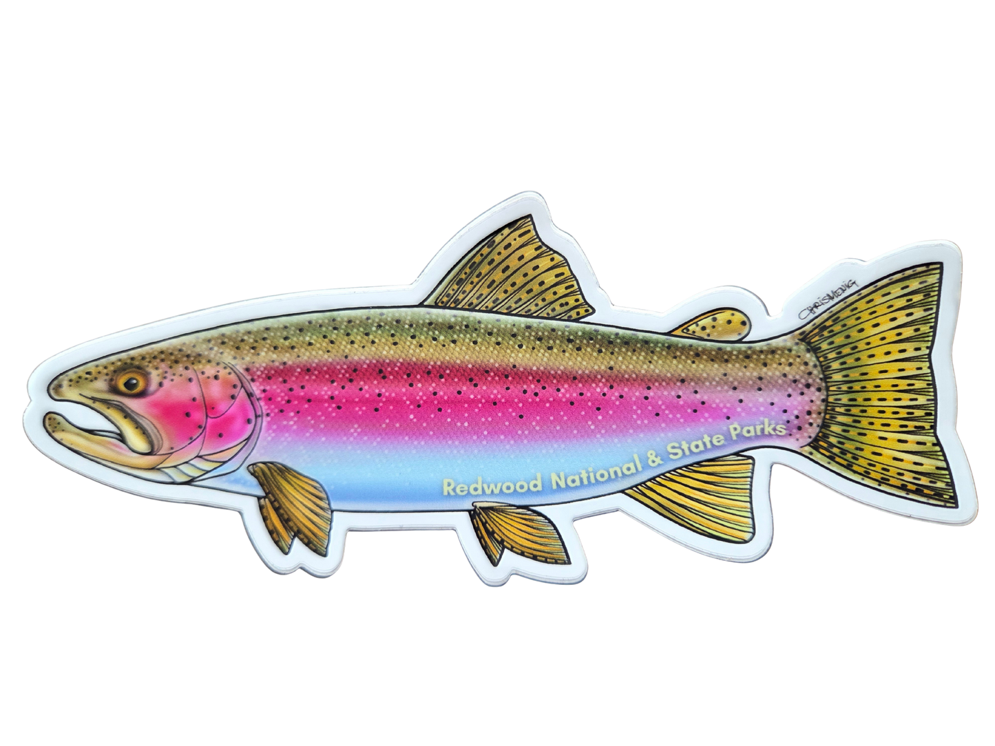 Redwood National and State Parks Rainbow Trout Sticker