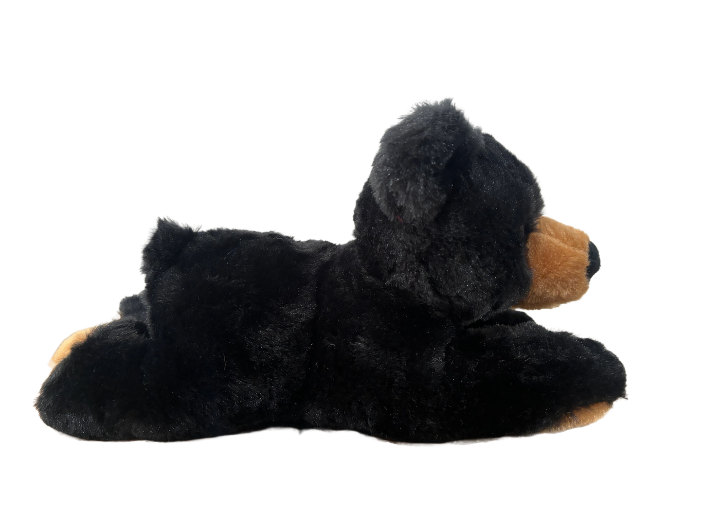 Plush Black Bear 10"