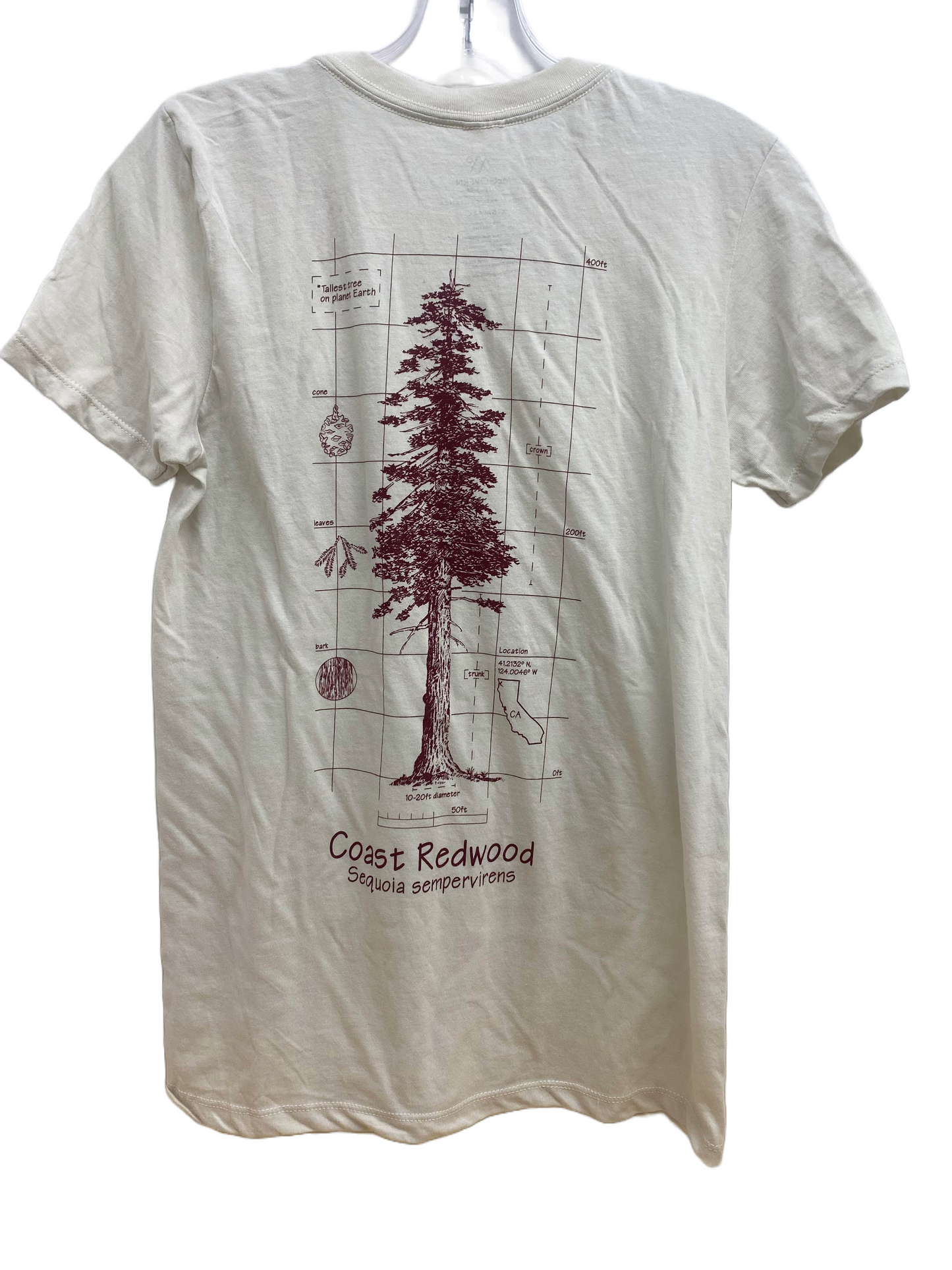 Redwood National & State Park Blueprint Tree Tee