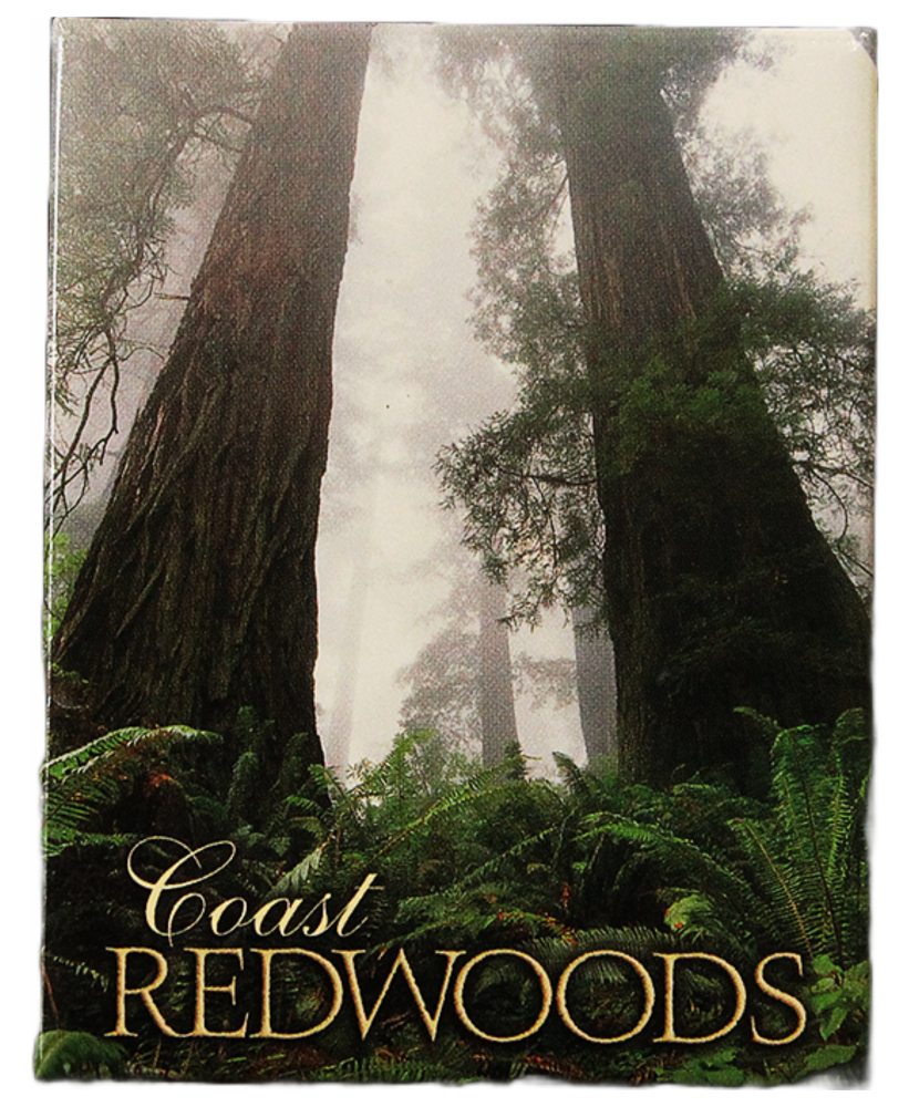 Fog in the Redwoods Magnet