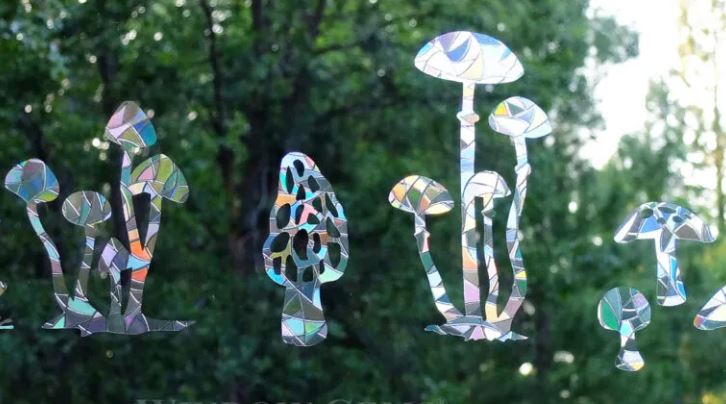 Window Gems Mushrooms
