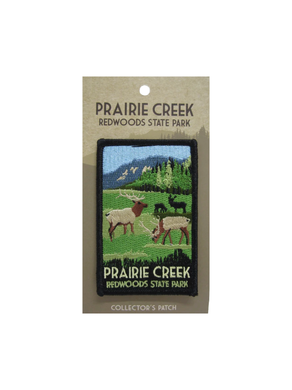Prairie Creek Redwoods State Park Collector's Patch