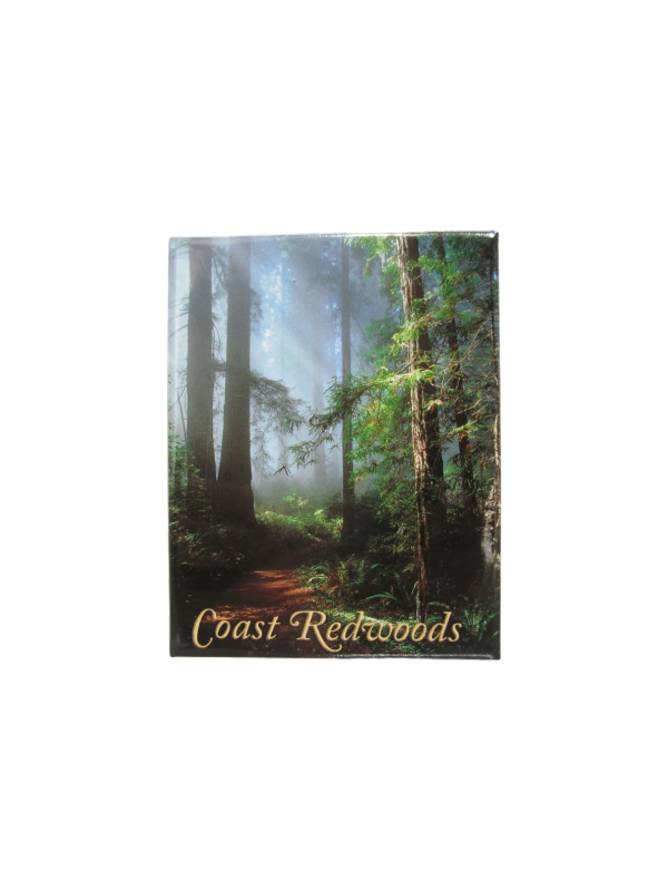 Coast Redwoods Magnet