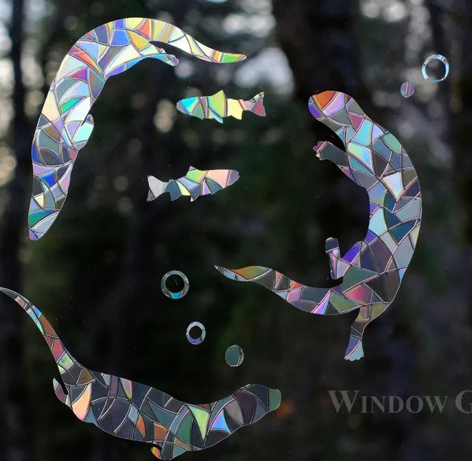 Window Gems River Otters