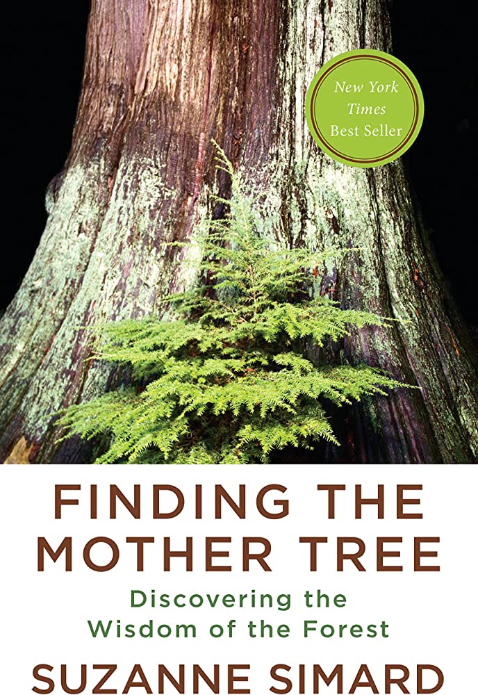 Finding the Mother Tree: Discovering the Wisdom of the Forest Paperback