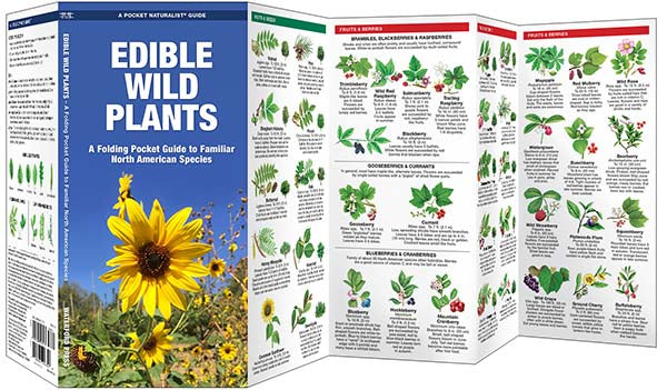 Edible Wild Plants: A Pocket Naturalist Guide