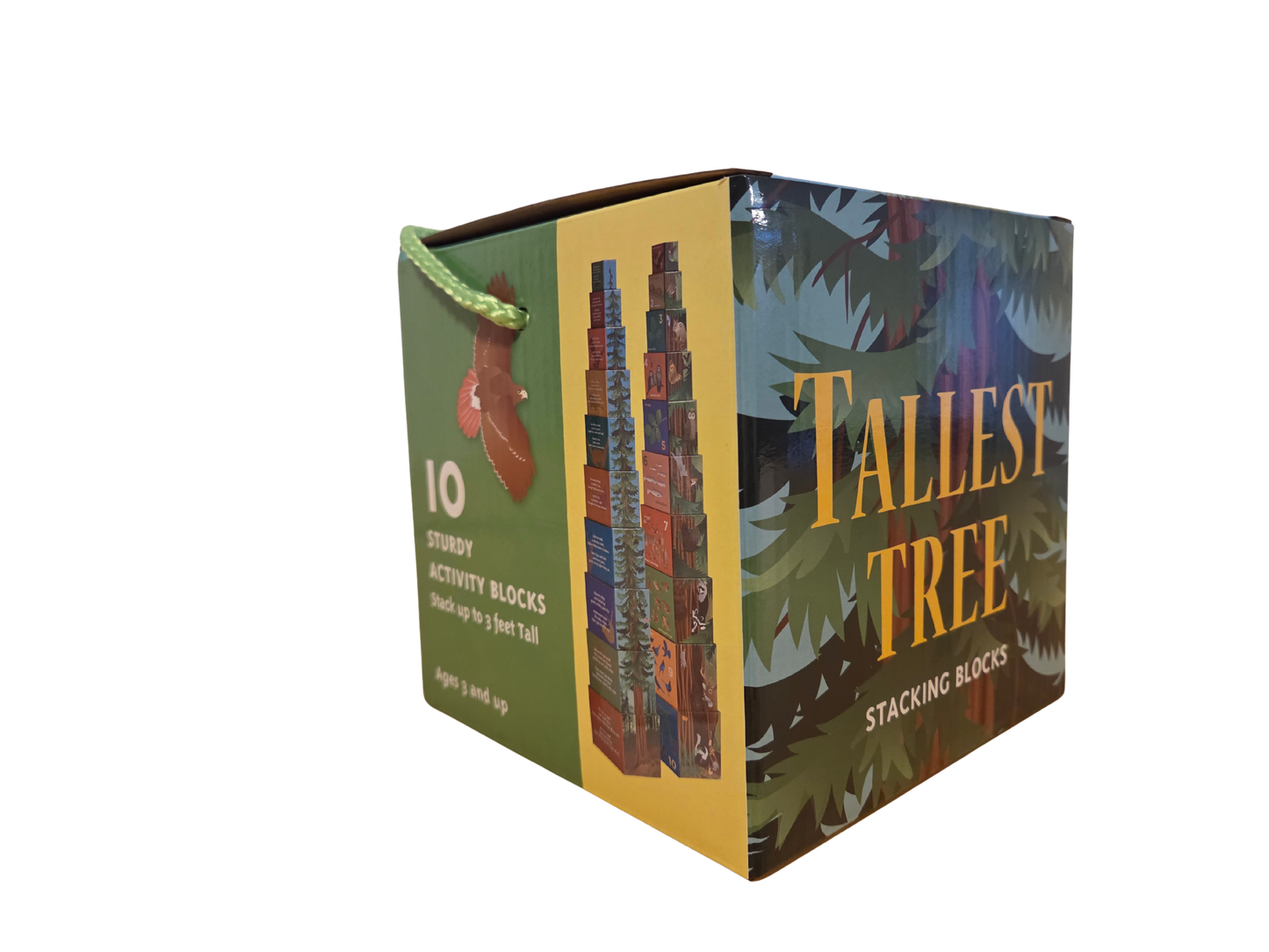 Stacking Blocks- Tallest Tree