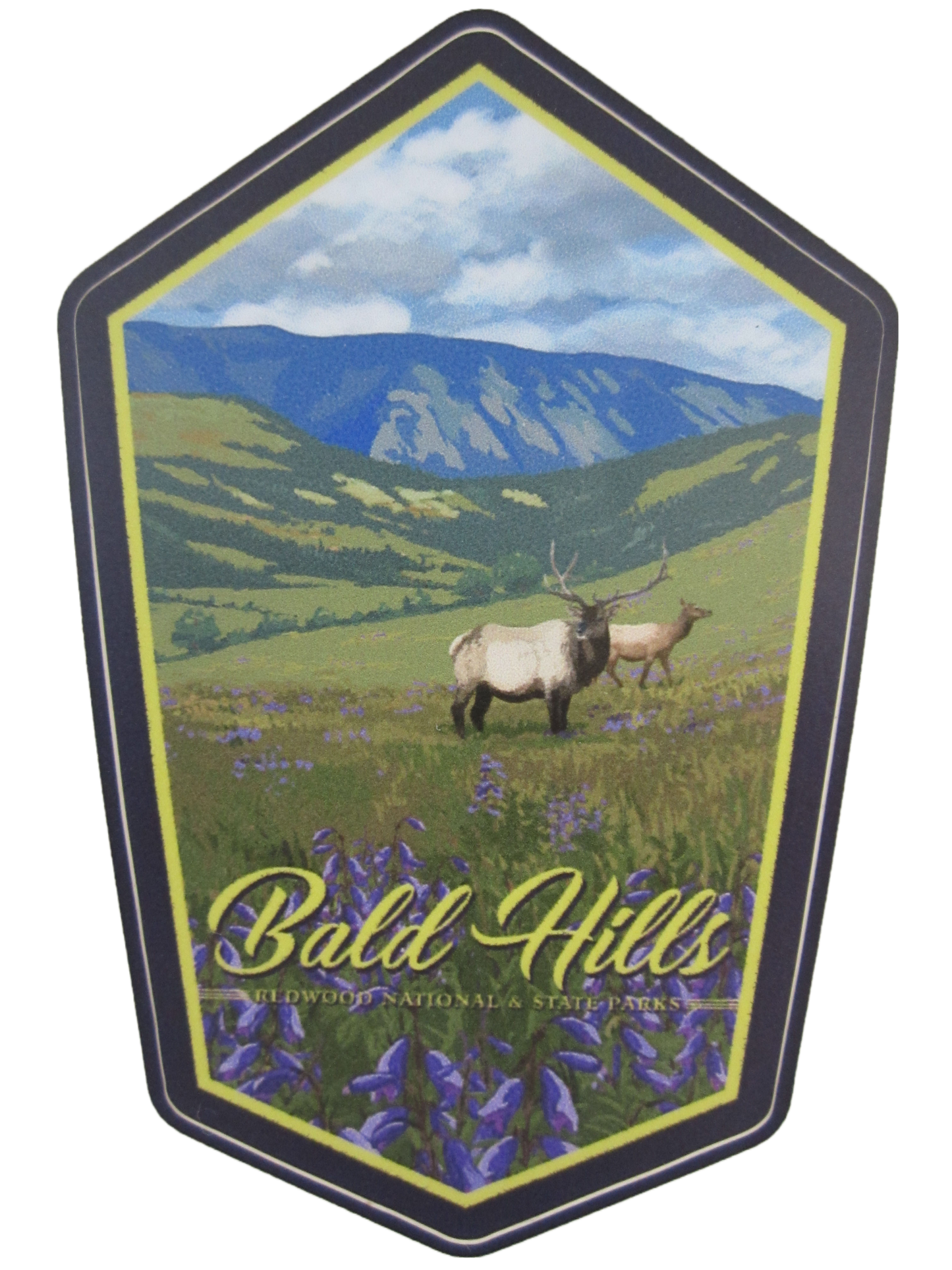 5" Large Bald Hills Sticker