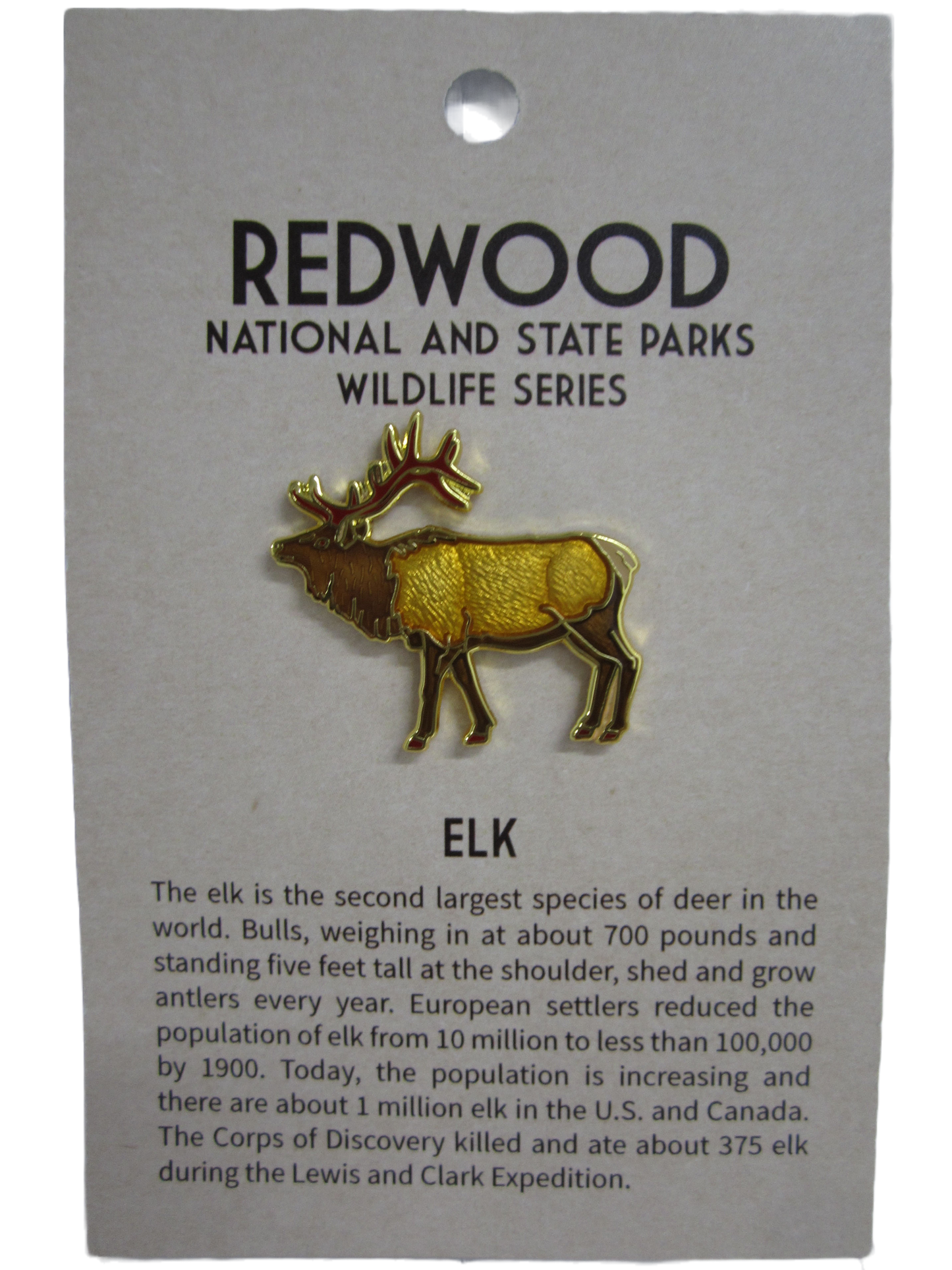 Elk Collector's Pin