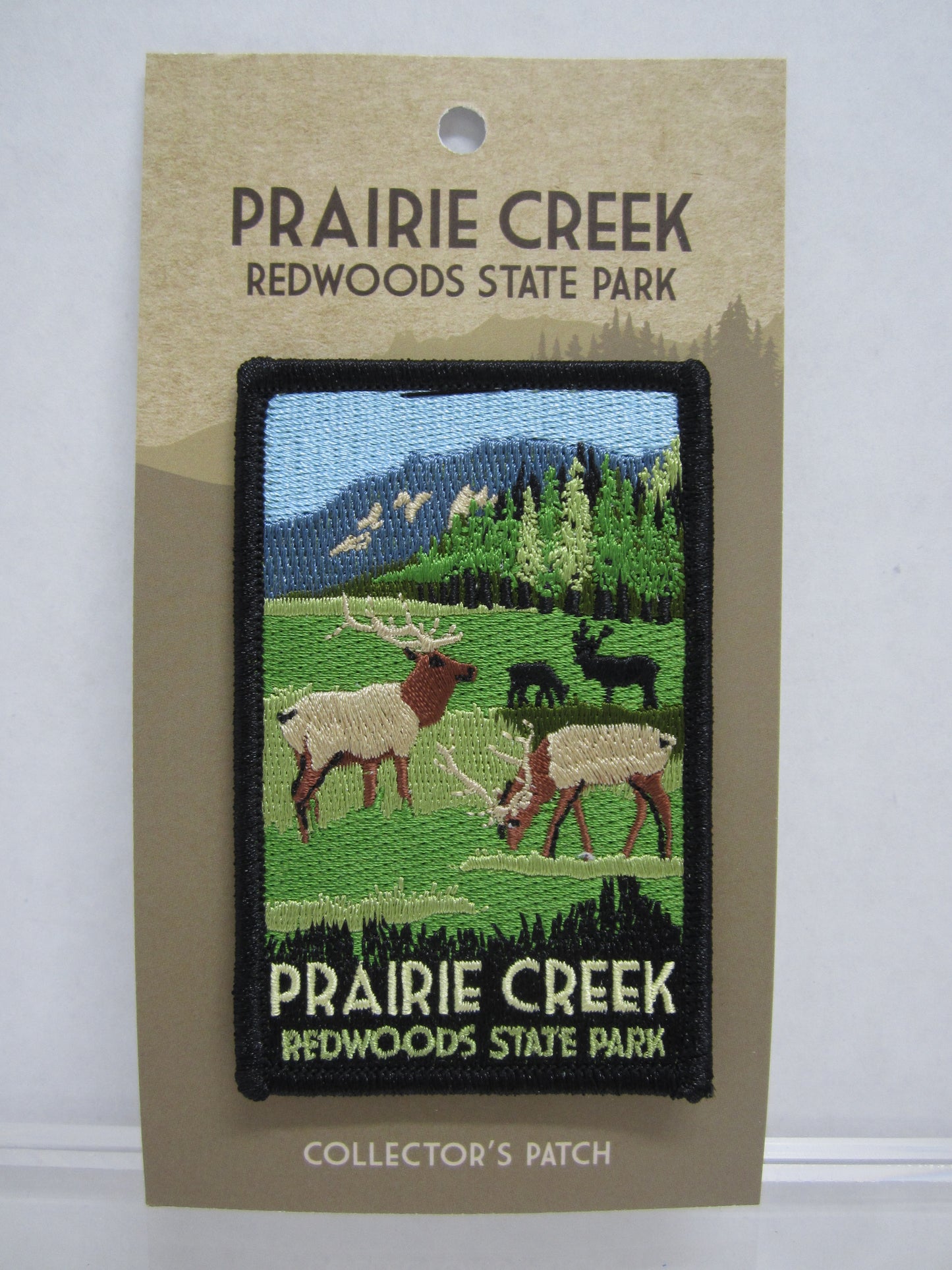 Prairie Creek Redwoods State Park Collector's Patch