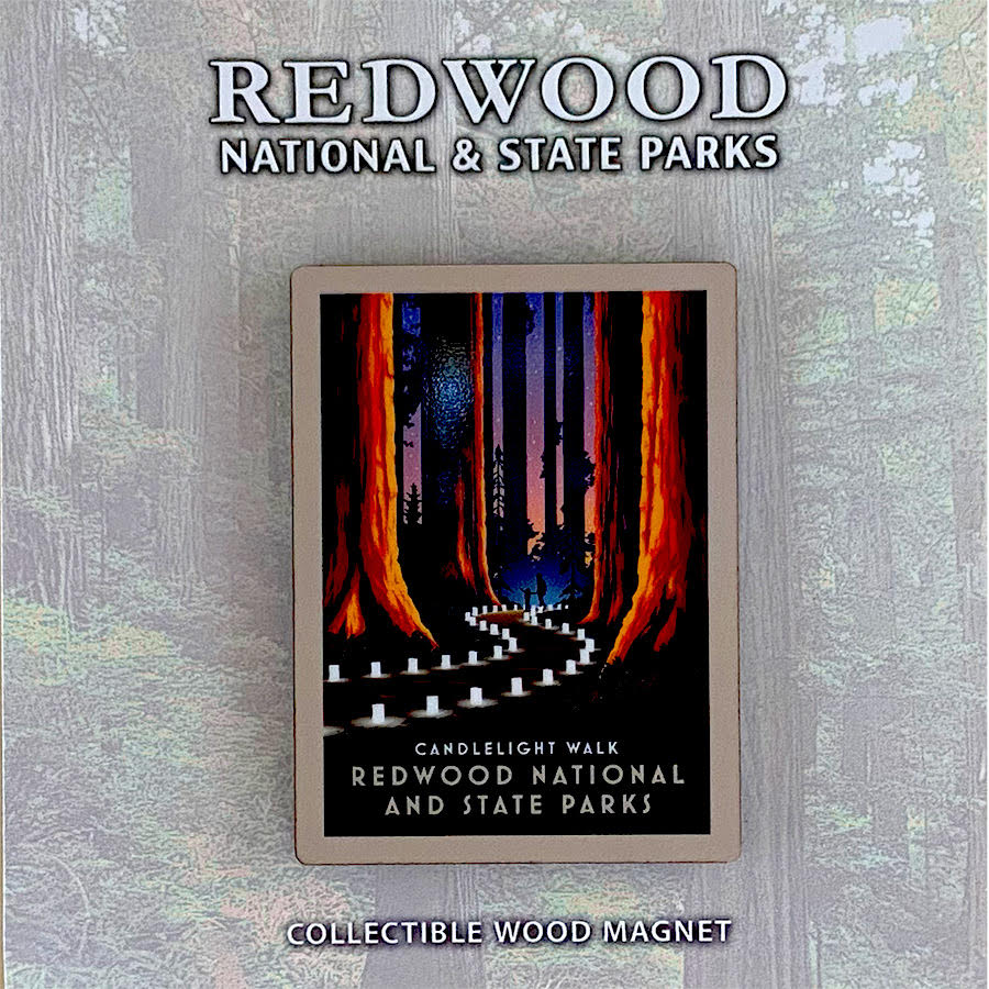 Redwood National & State Parks Candlelight Walk Wood Magnet
