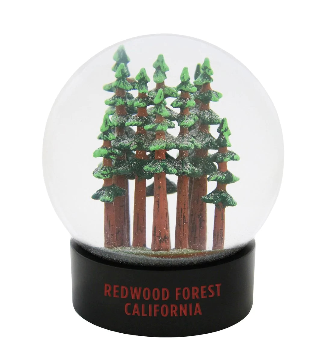 Redwood National Park Forest Fog Globe