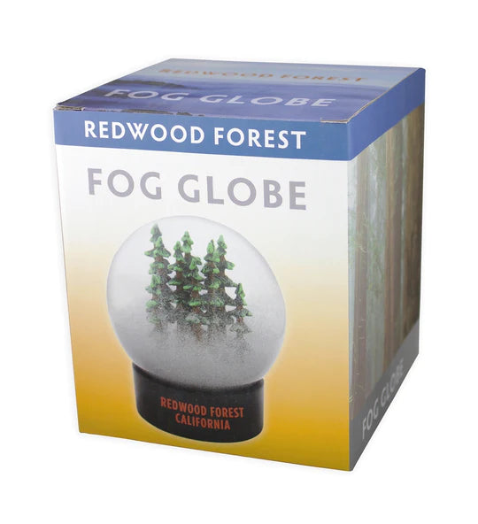 Redwood National Park Forest Fog Globe