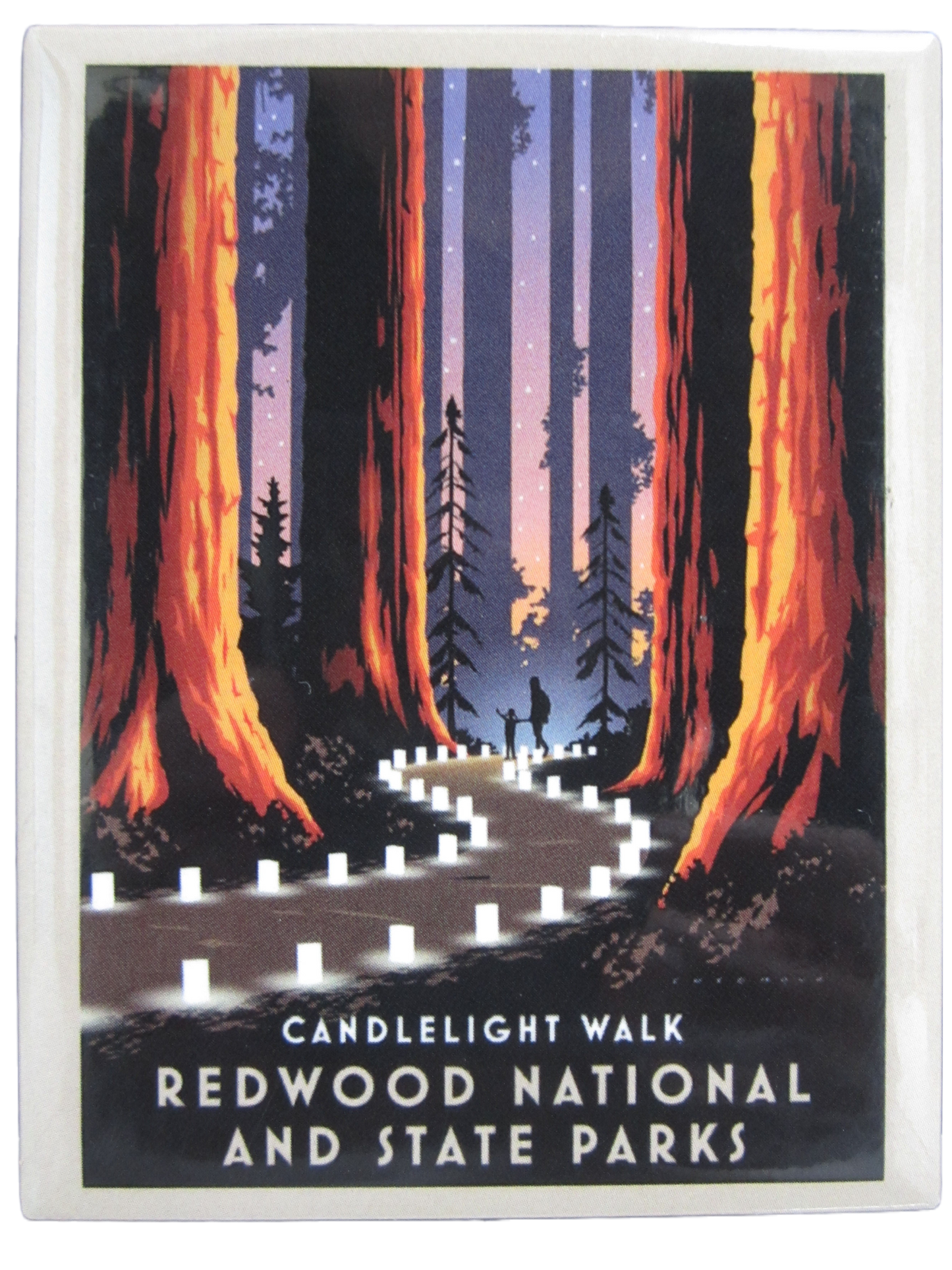 Redwood National & State Parks Candlelight Walk Magnet