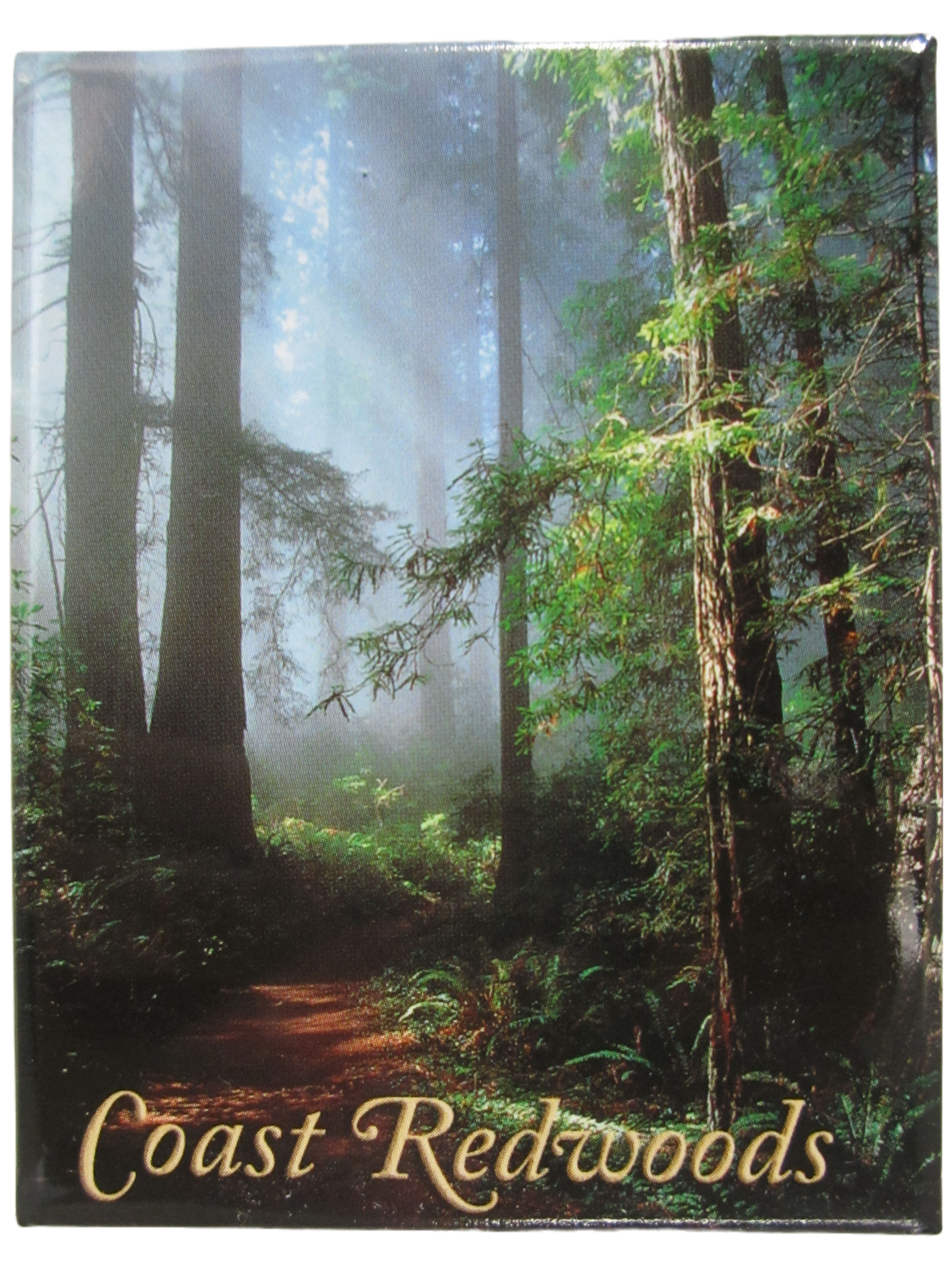 Redwood National Coast Magnet