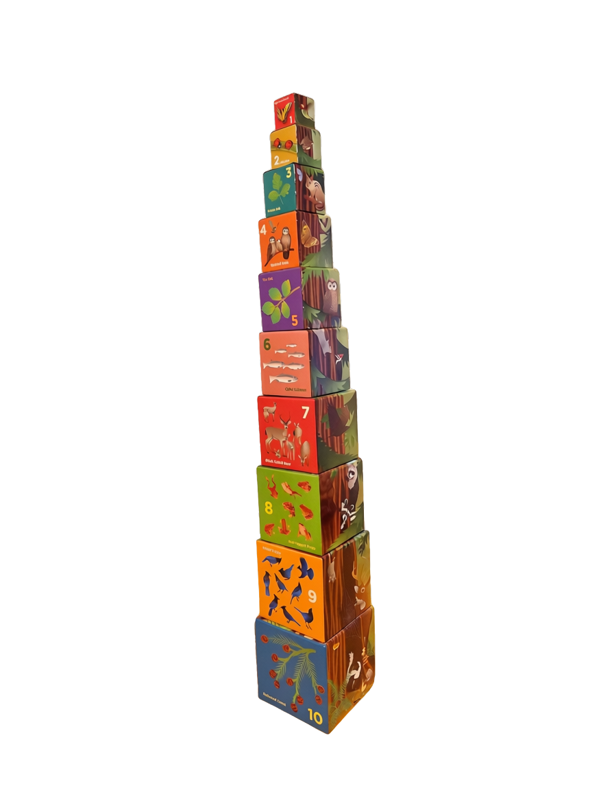 Stacking Blocks- Tallest Tree
