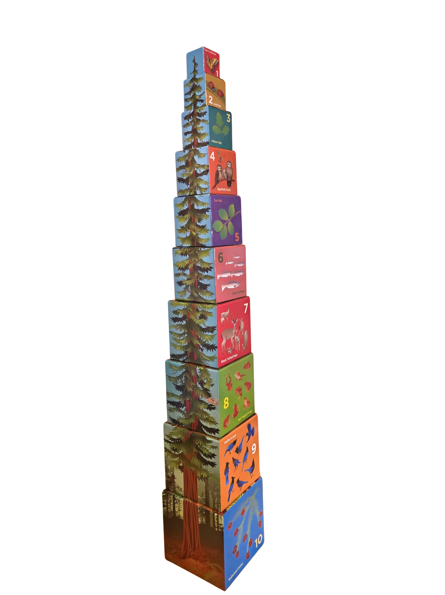 Stacking Blocks- Tallest Tree