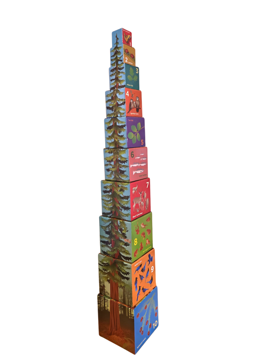 Stacking Blocks- Tallest Tree
