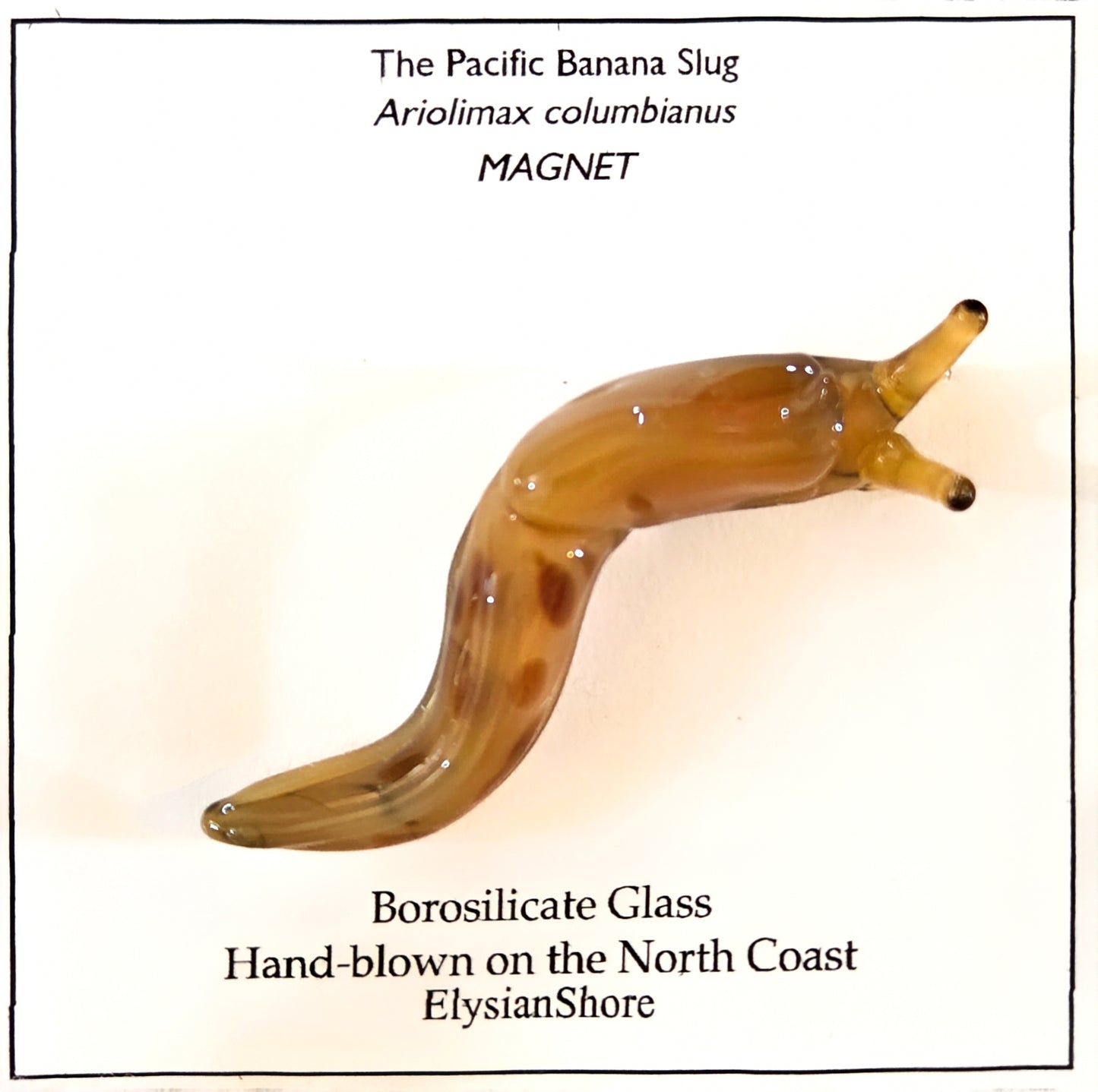 Elysian Shore Banana Slug Hand Blown Glass Magnet