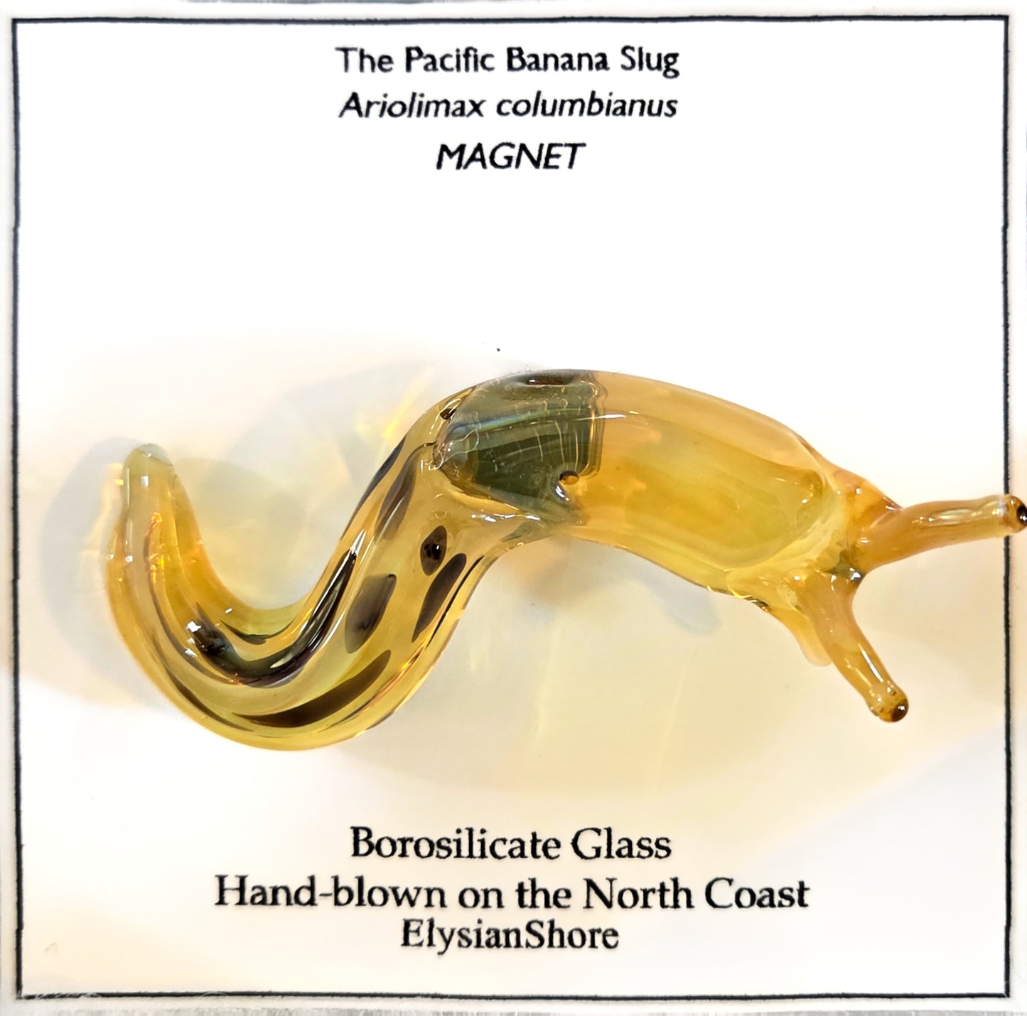 Elysian Shore Banana Slug Hand Blown Glass Magnet