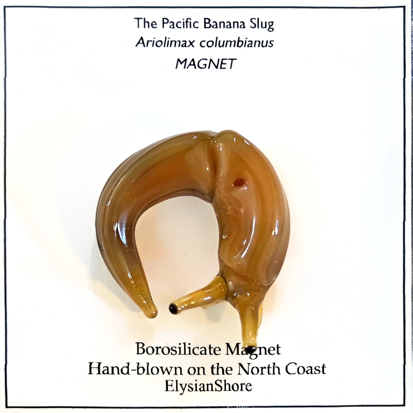 Elysian Shore Banana Slug Hand Blown Glass Magnet
