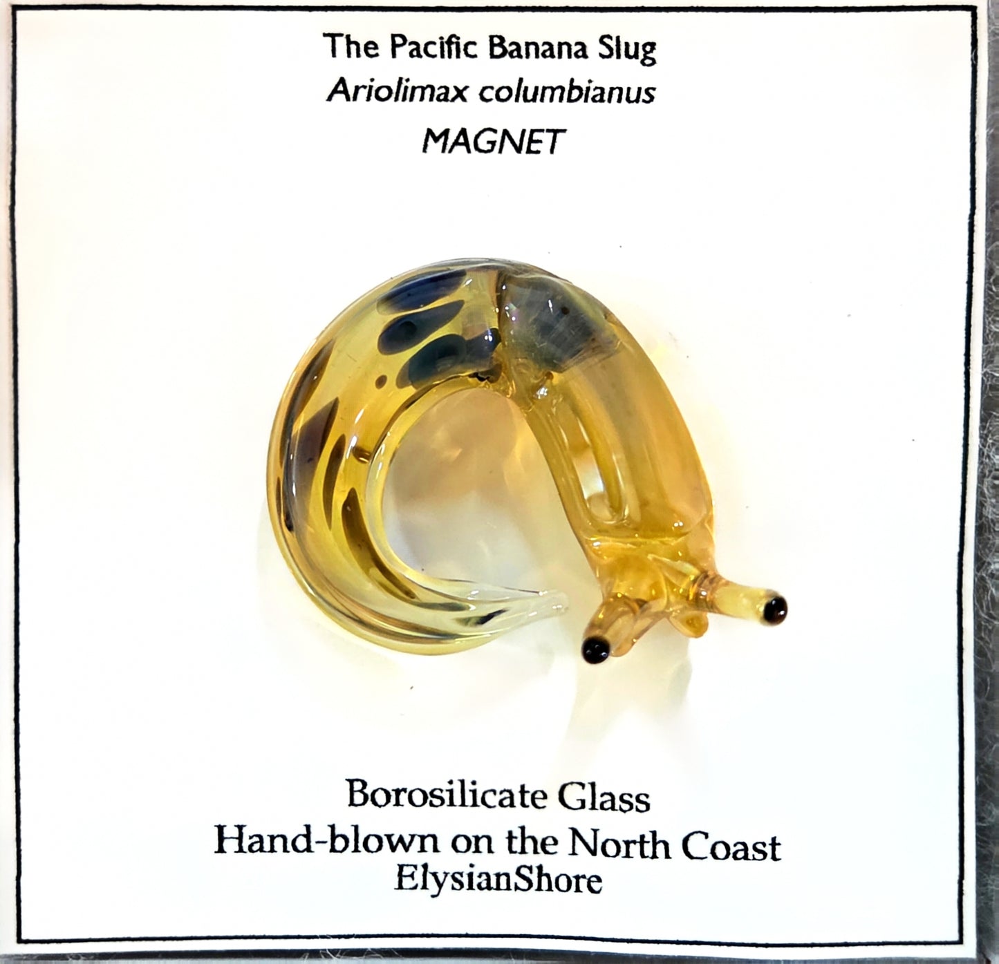 Elysian Shore Banana Slug Hand Blown Glass Magnet