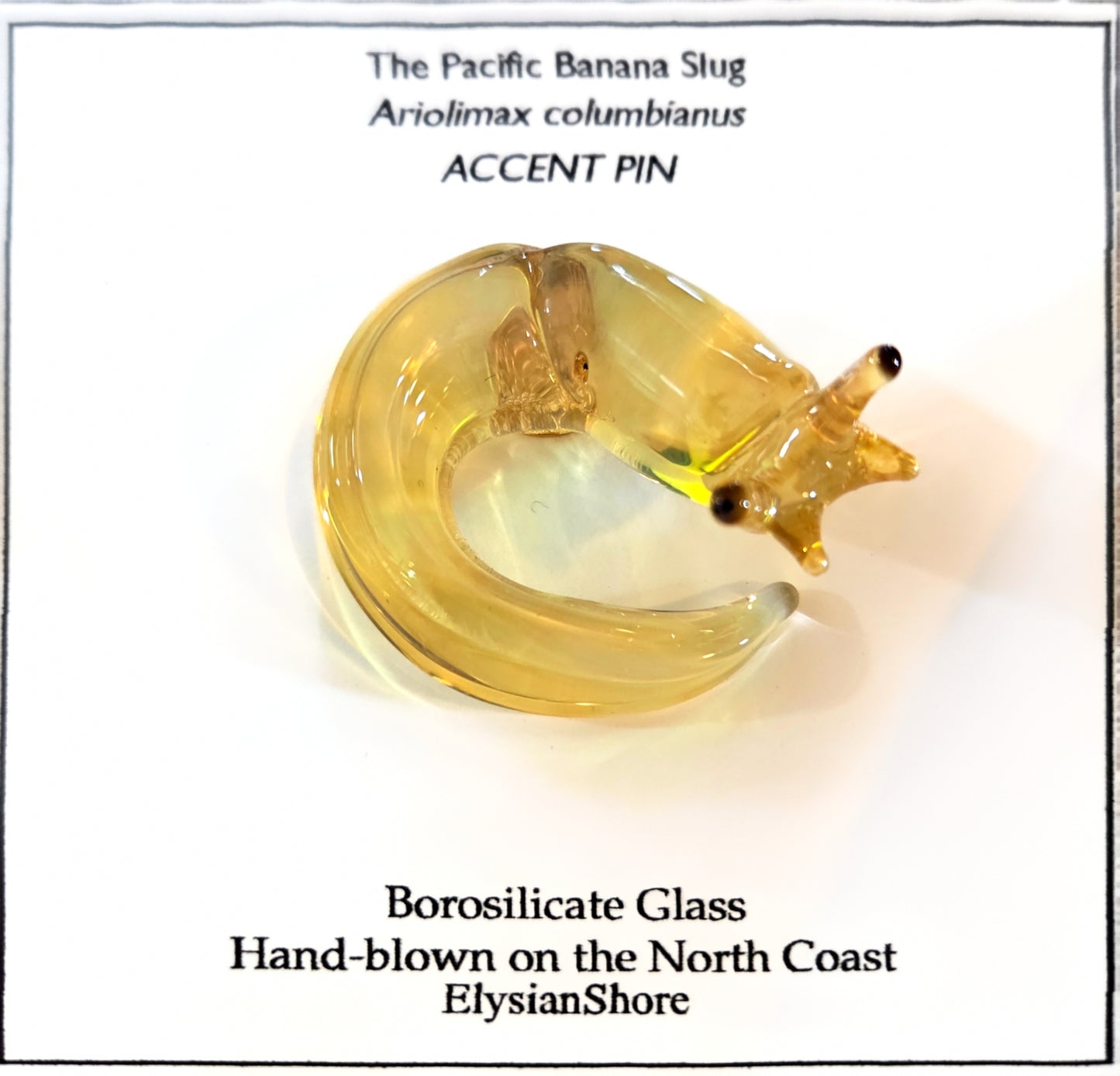 Elysian Shore Banana Slug Hand Blown Glass Pin