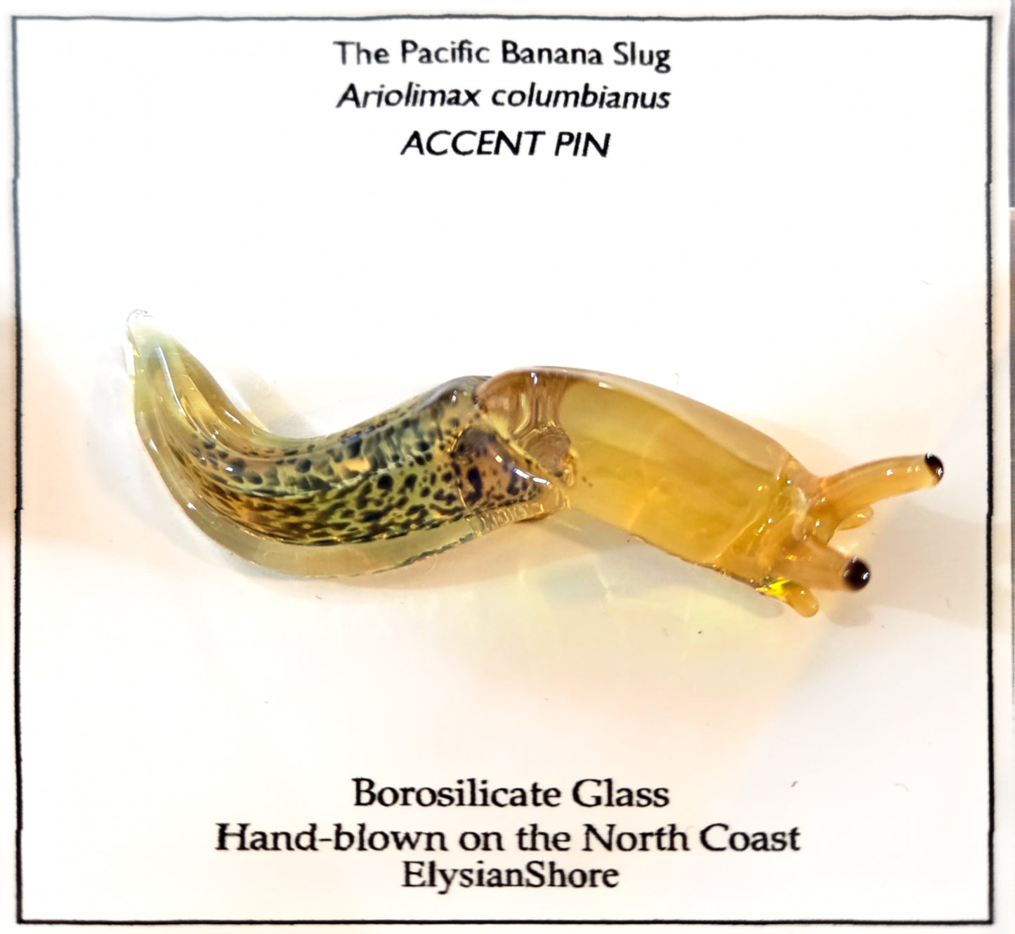 Elysian Shore Banana Slug Hand Blown Glass Pin