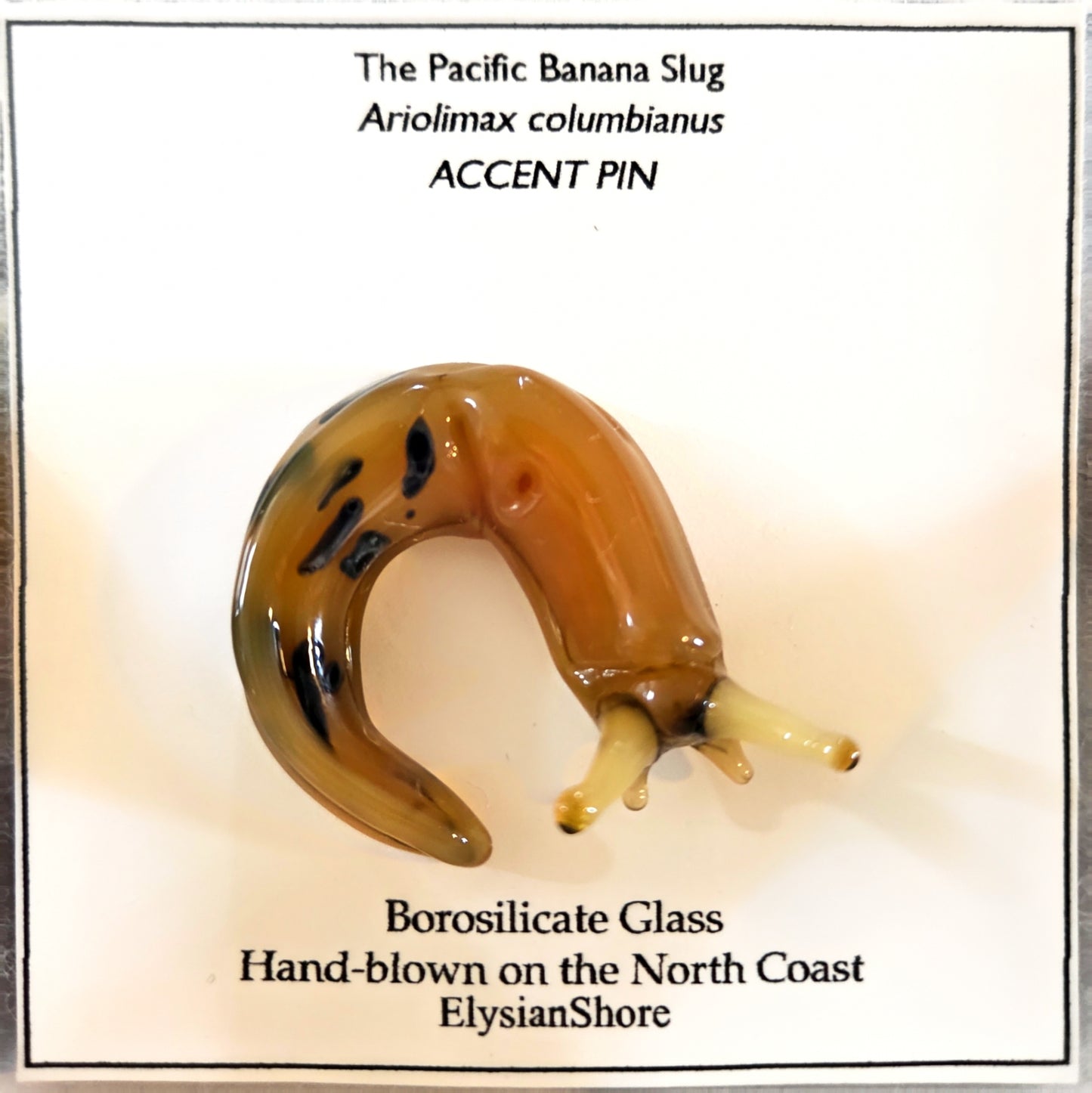 Elysian Shore Banana Slug Hand Blown Glass Pin