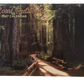 2027 Coast Redwoods Calendar