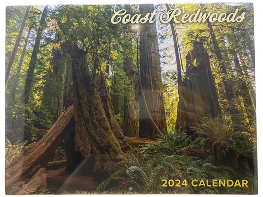 2024 Coast Redwoods Calendar