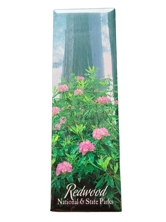 Rhododendron Redwood National and State Parks  Magnet