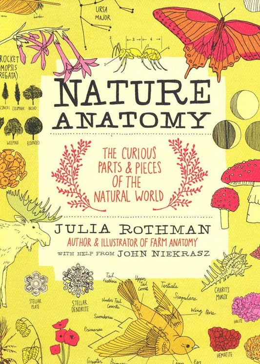 NATURE ANATOMY PAPERBACK BOOK