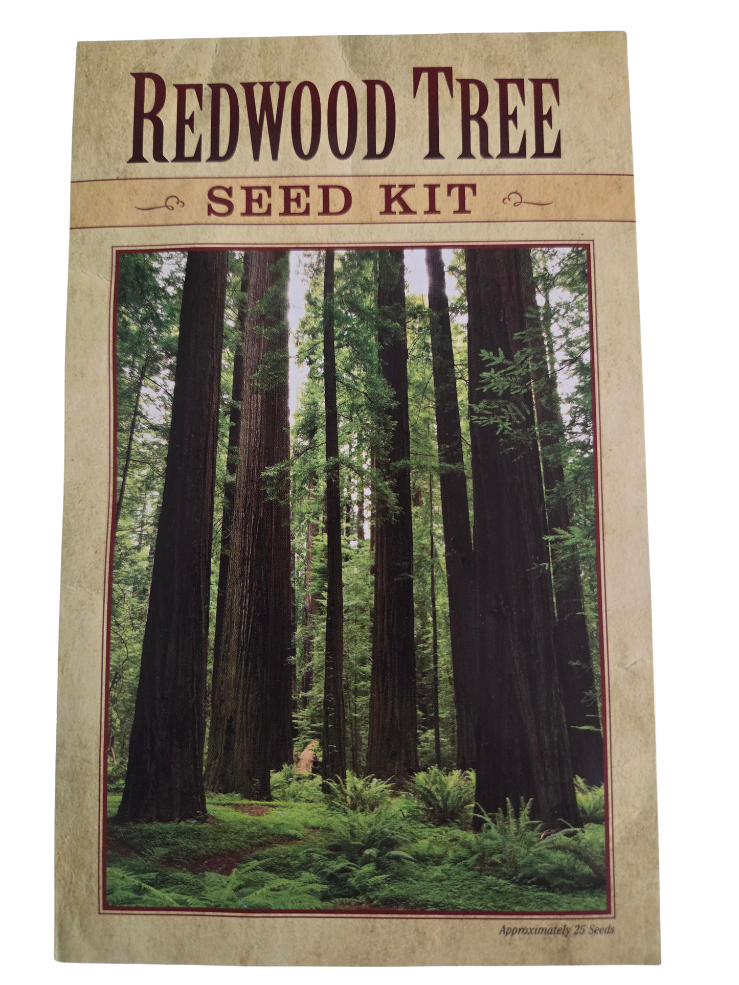Redwood Tree Seed Kit Postcard