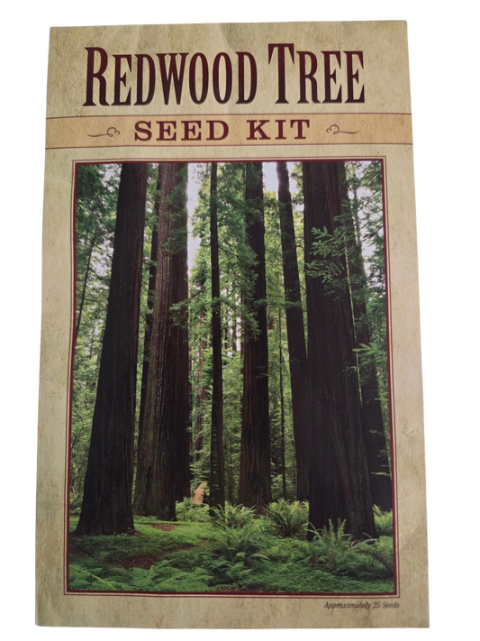 Redwood Tree Seed Kit Postcard