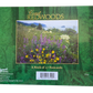 Coast Redwoods Book of Postcards