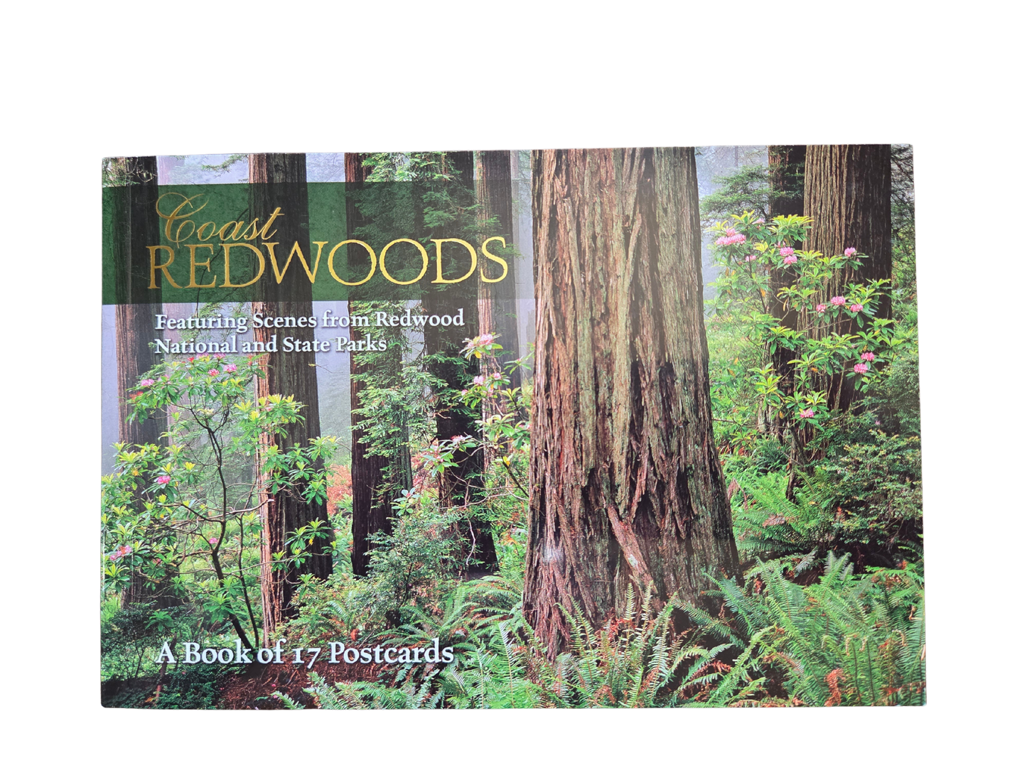 Coast Redwoods Book of Postcards