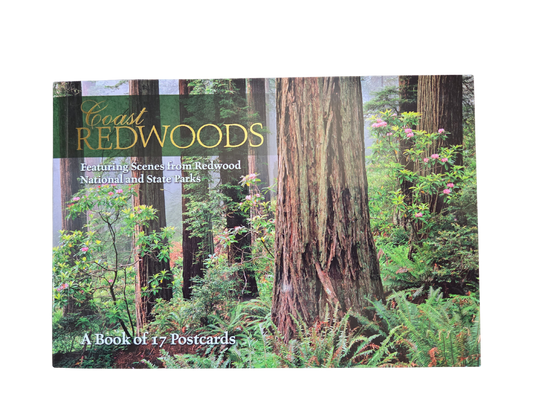 Coast Redwoods Book of Postcards