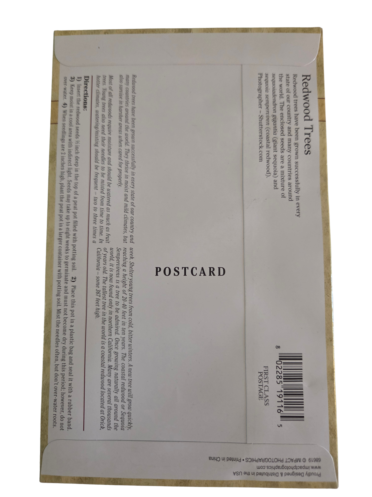 Redwood Tree Seed Kit Postcard