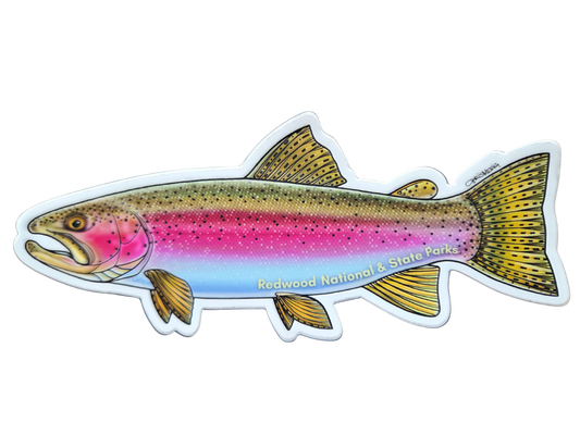 Redwood National and State Parks Rainbow Trout Sticker