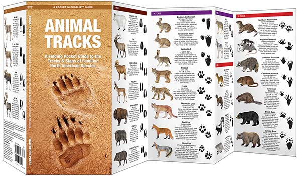 Animal Tracks Pocket Guide
