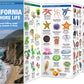California Seashore Life Pocket Guide