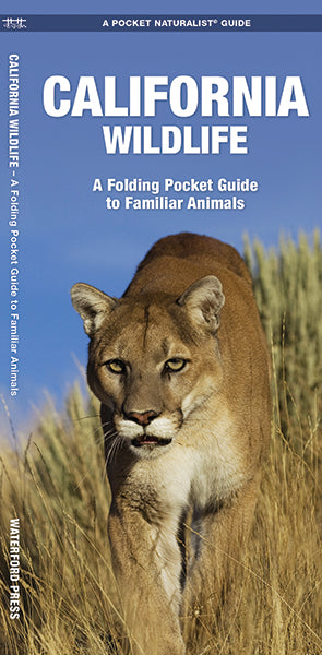 California Wildlife: A Pocket Naturalist Guide
