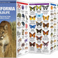 California Wildlife: A Pocket Naturalist Guide