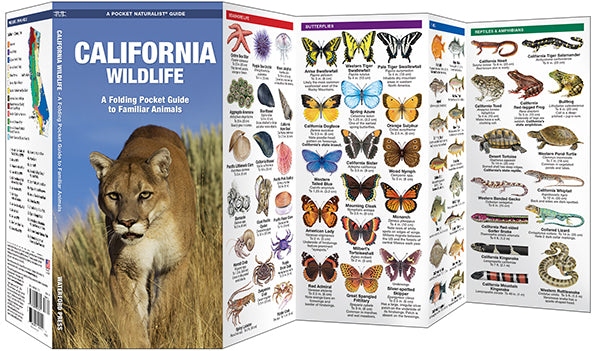 California Wildlife: A Pocket Naturalist Guide